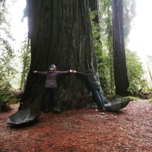 Catherine and Christina Hugging a Redwood