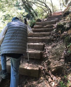 Willis hiking stairs