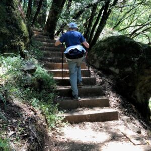 Joan hiking stairs