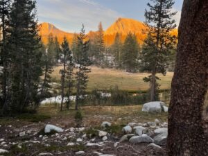 The view of the meadow from Snag Camp